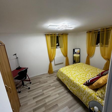 Cosy Citadin Apartment Mulhouse Exterior foto