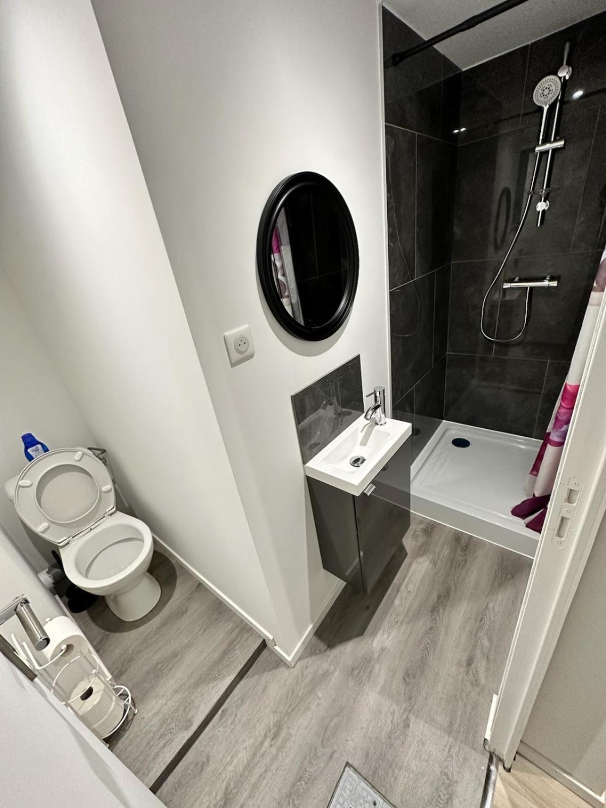 Cosy Citadin Apartment Mulhouse Exterior foto