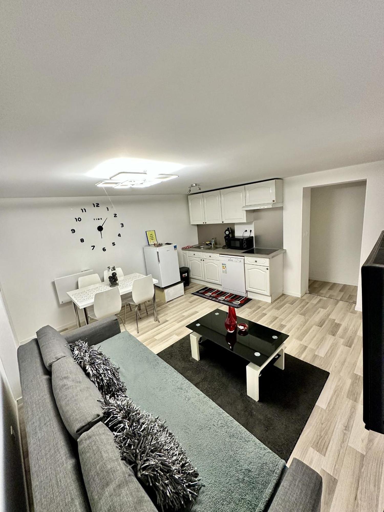 Cosy Citadin Apartment Mulhouse Exterior foto
